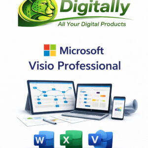 Microsoft Visio Professional - 2019